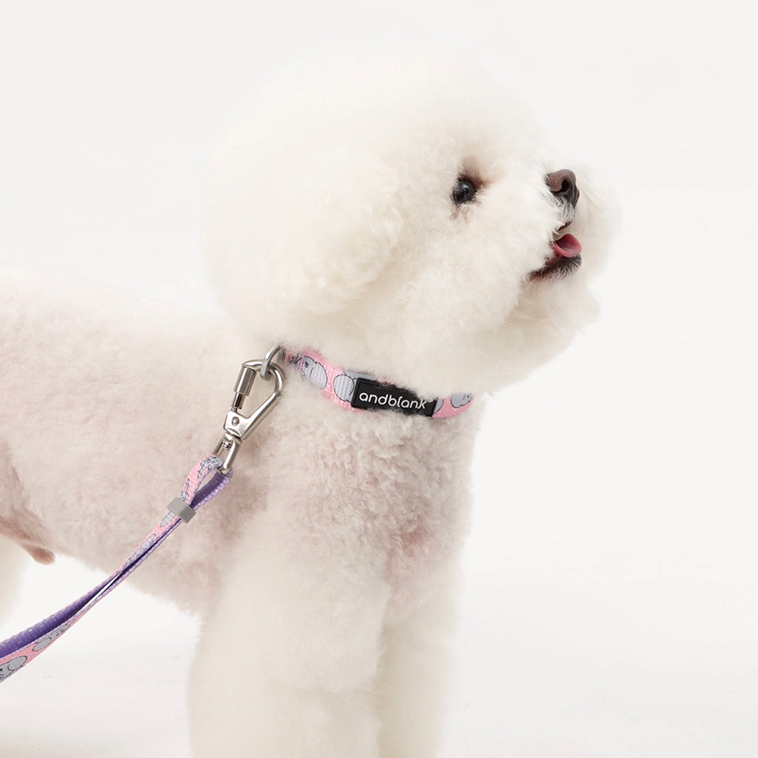 ※予約販売【andblank】ICONIC Jelly Phant Collar（Pink）