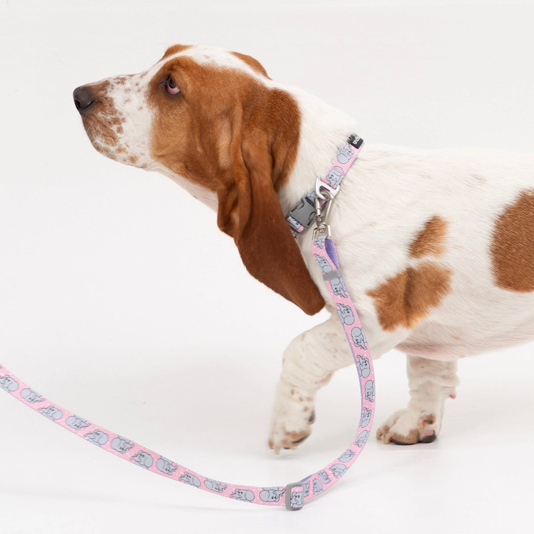 ※予約販売【andblank】ICONIC Jelly Phant Collar（Pink）