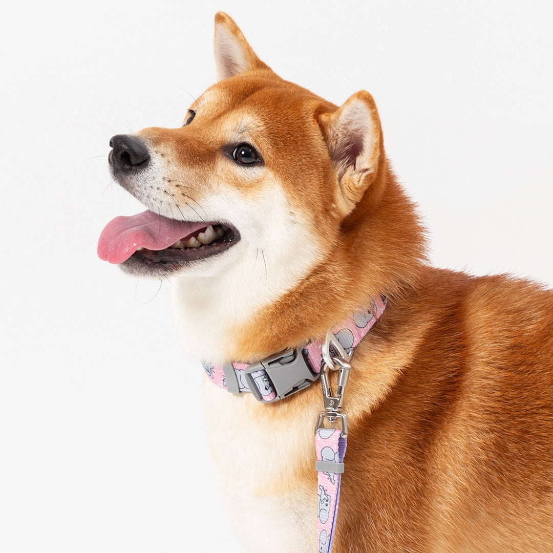 ※予約販売【andblank】ICONIC Jelly Phant Collar（Pink）