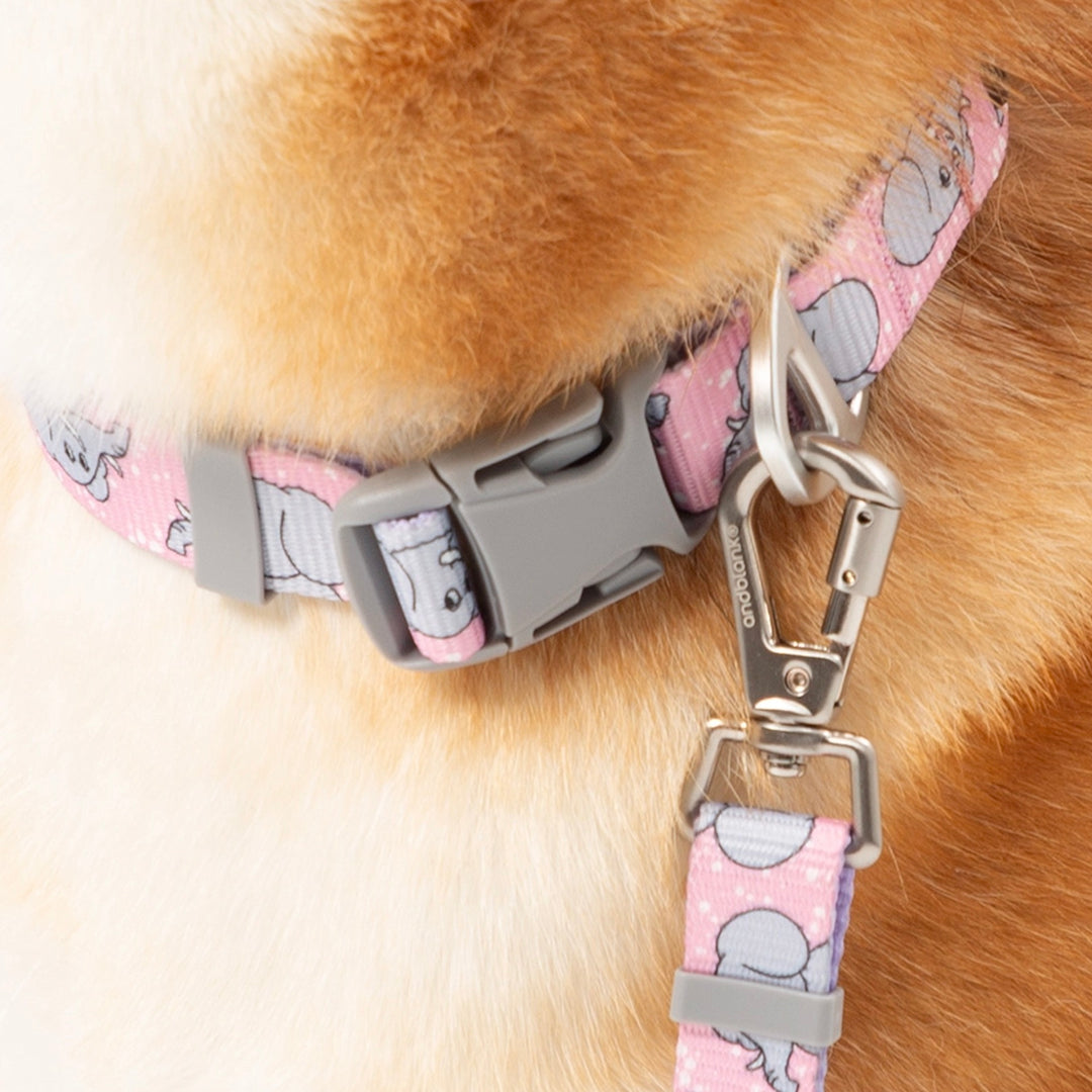 ※予約販売【andblank】ICONIC Jelly Phant Collar（Pink）