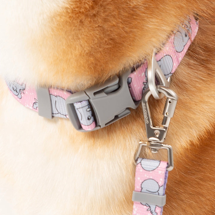 ※予約販売【andblank】ICONIC Jelly Phant Collar（Pink）