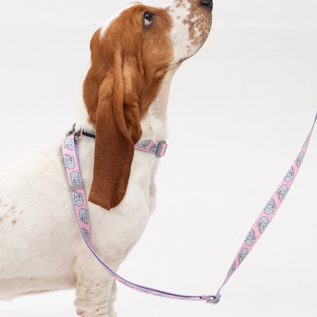 ※予約販売【andblank】ICONIC Jelly Phant Collar（Pink）