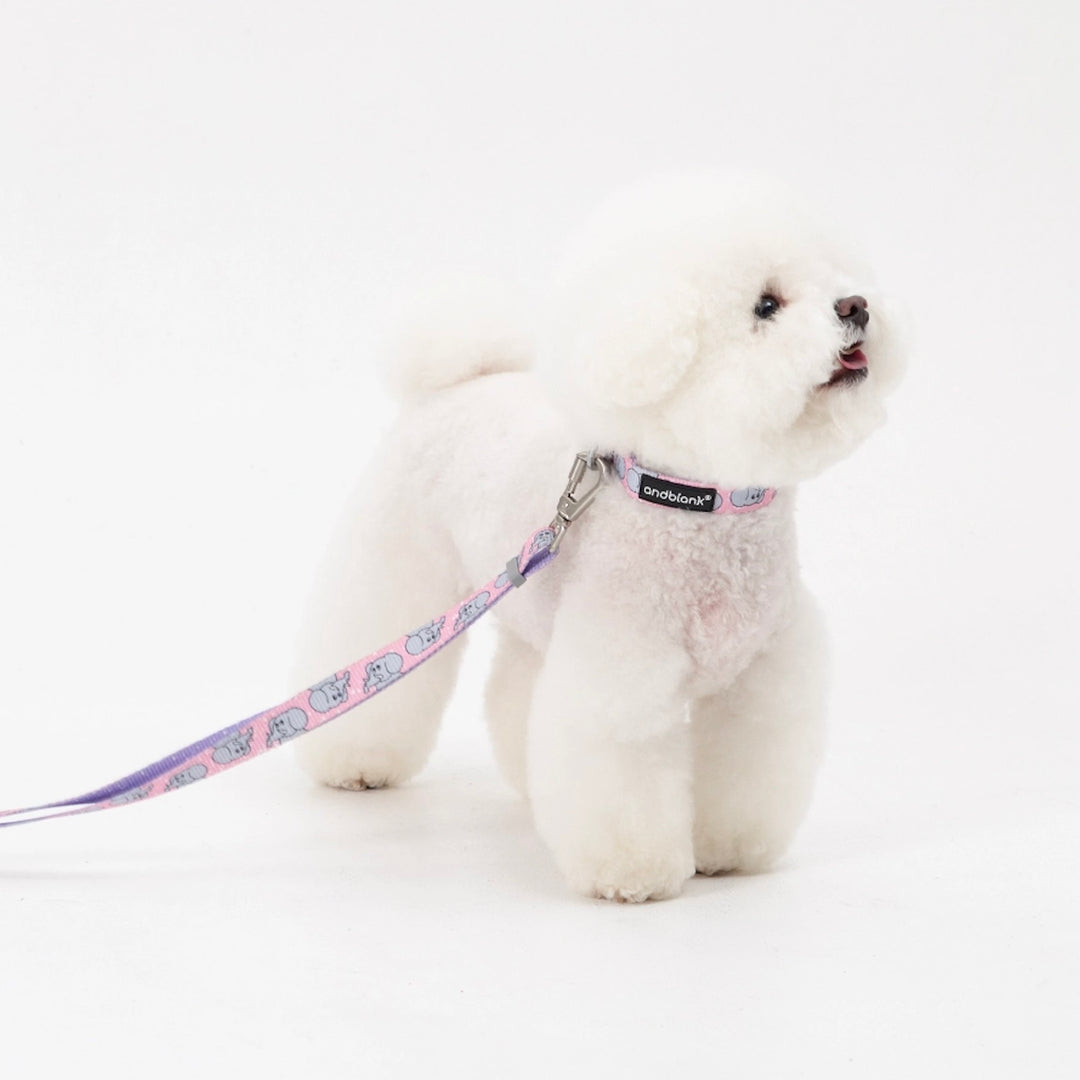 ※予約販売【andblank】ICONIC Jelly Phant Collar（Pink）