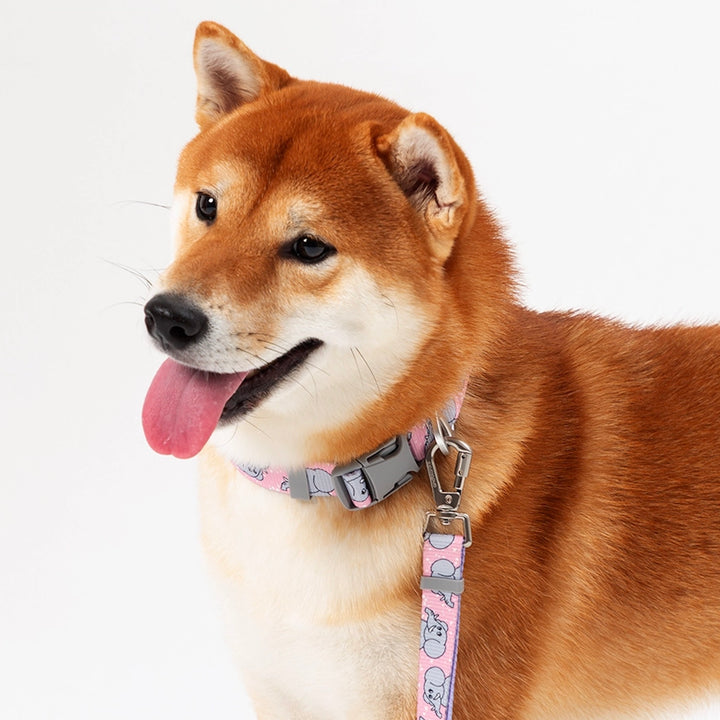 ※予約販売【andblank】ICONIC Jelly Phant Collar（Pink）