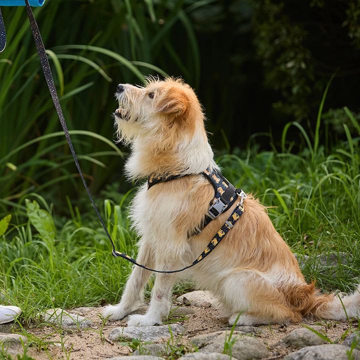 ※予約販売【andblank】ICONIC Joy Bear Harness（Black）