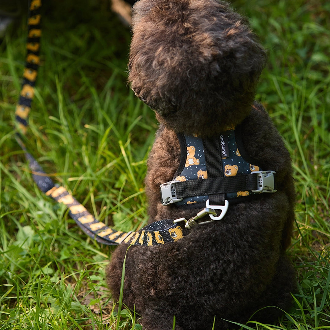 ※予約販売【andblank】ICONIC Joy Bear Harness（Black）