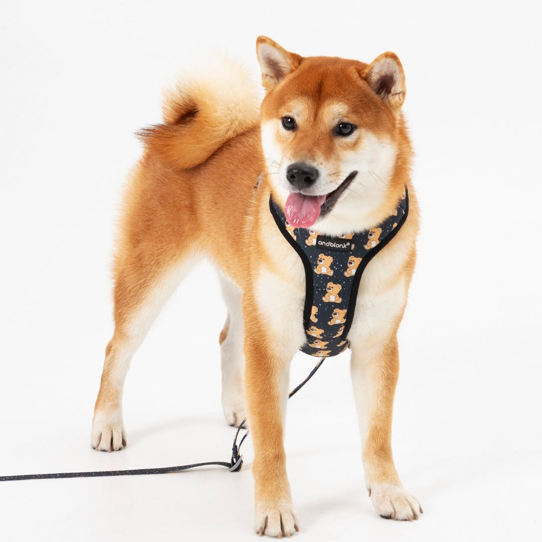 ※予約販売【andblank】ICONIC Joy Bear Harness（Black）