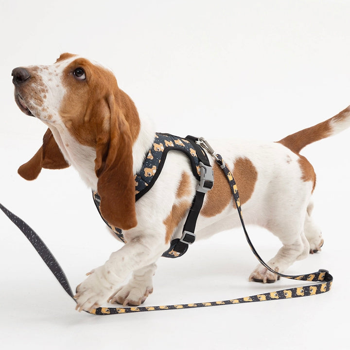 ※予約販売【andblank】ICONIC Joy Bear Harness（Black）