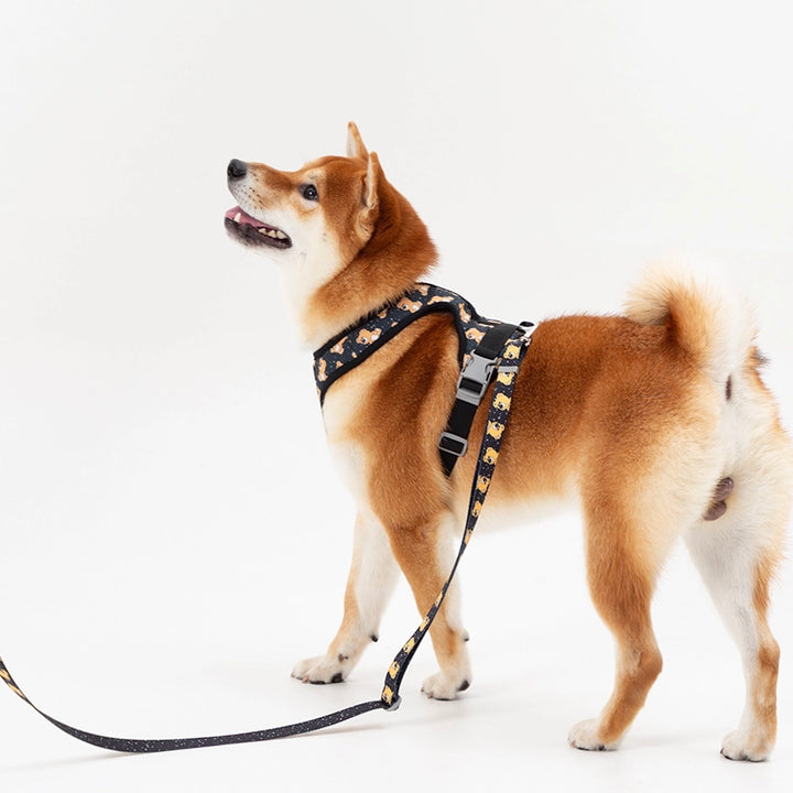 ※予約販売【andblank】ICONIC Joy Bear Harness（Black）