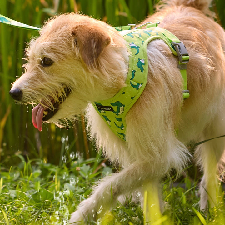 即納【andblank】ICONIC Lazy Crocodile Harness（Green）