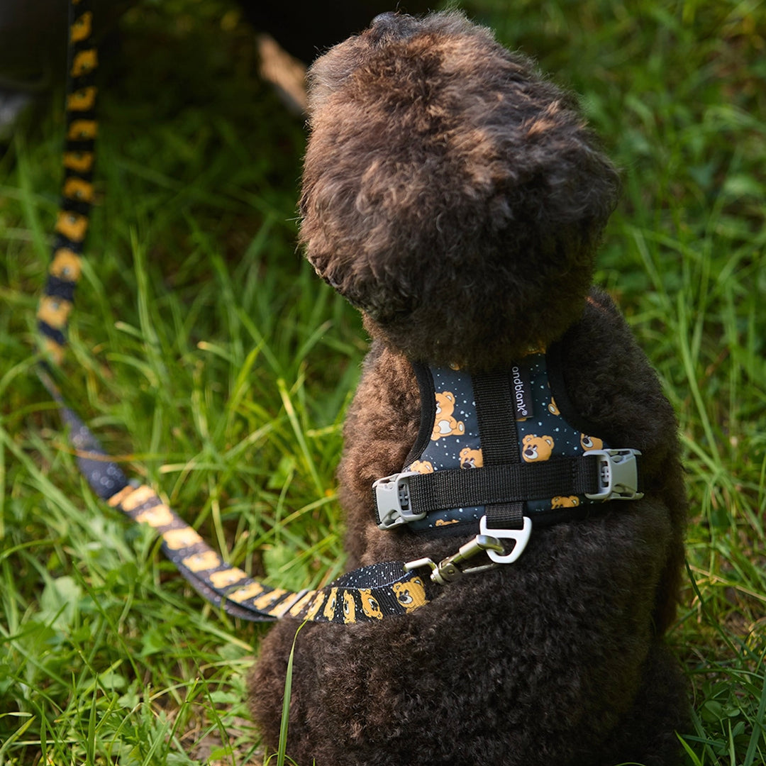 即納【andblank】ICONIC Joy Bear Hands Free Leash（Black）