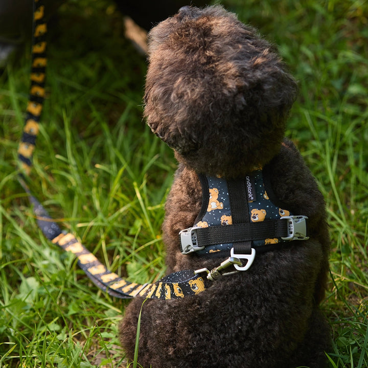即納【andblank】ICONIC Joy Bear Hands Free Leash（Black）