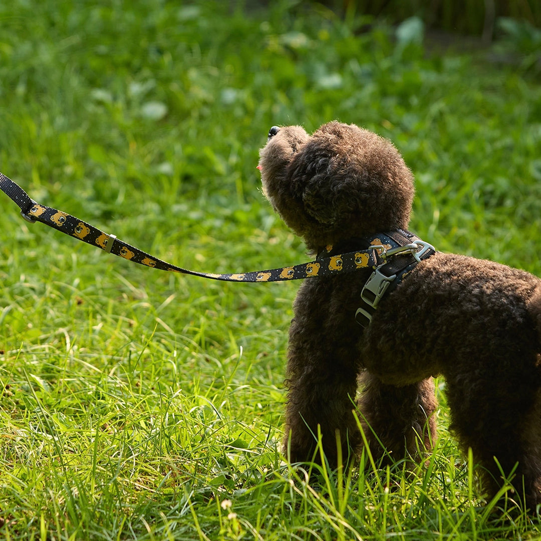 即納【andblank】ICONIC Joy Bear Hands Free Leash（Black）