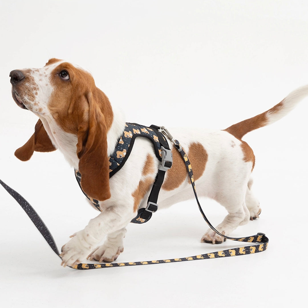 即納【andblank】ICONIC Joy Bear Hands Free Leash（Black）