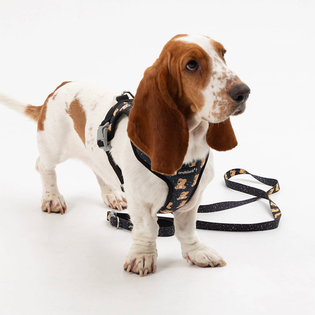 即納【andblank】ICONIC Joy Bear Hands Free Leash（Black）