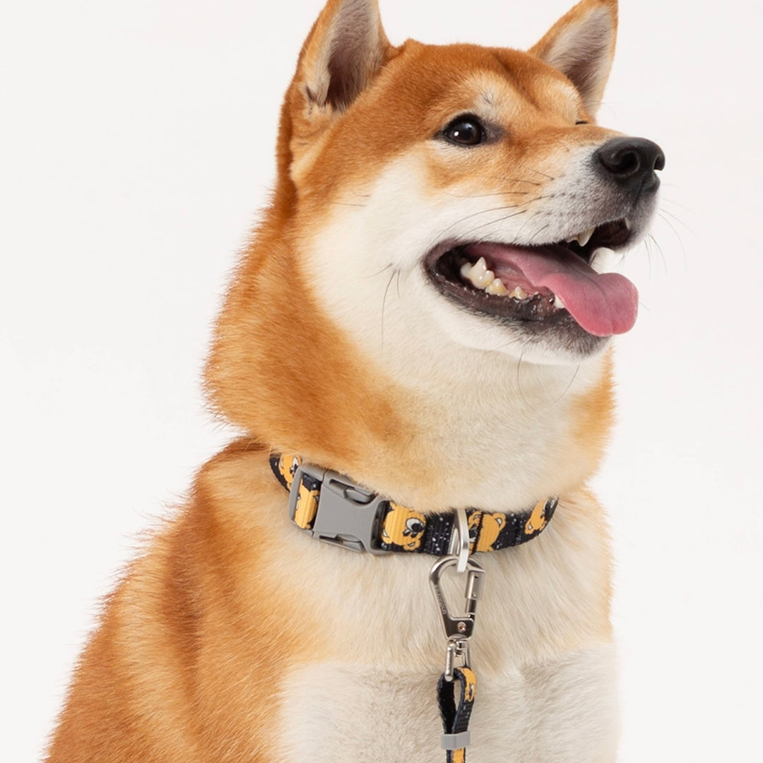 即納【andblank】ICONIC Joy Bear Hands Free Leash（Black）