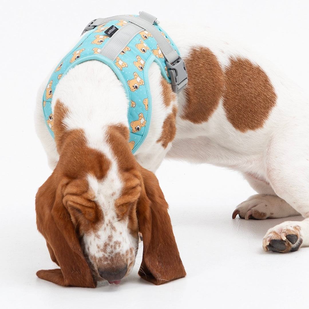 ※予約販売【andblank】ICONIC Joy Bear Harness（Mint）