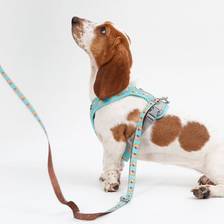 ※予約販売【andblank】ICONIC Joy Bear Harness（Mint）