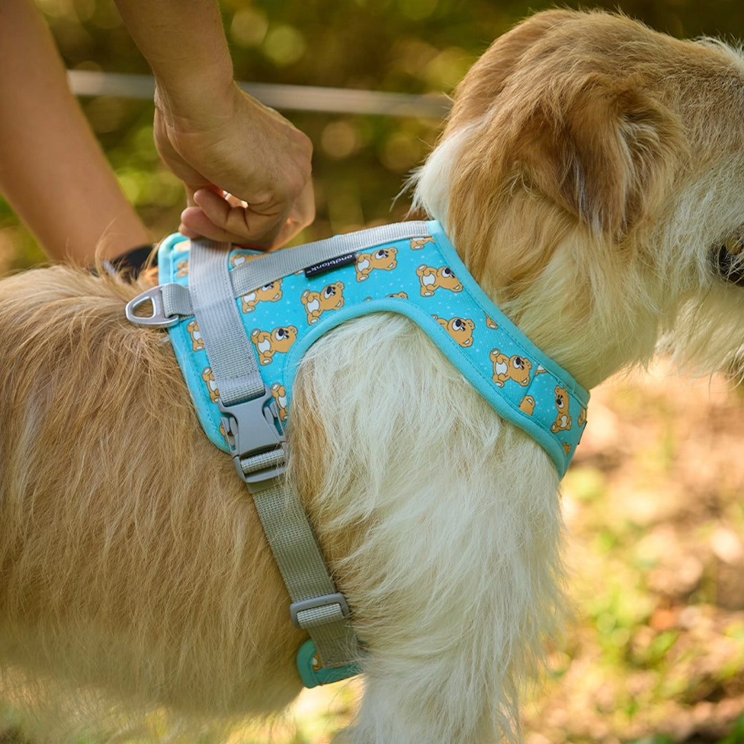 ※予約販売【andblank】ICONIC Joy Bear Harness（Mint）