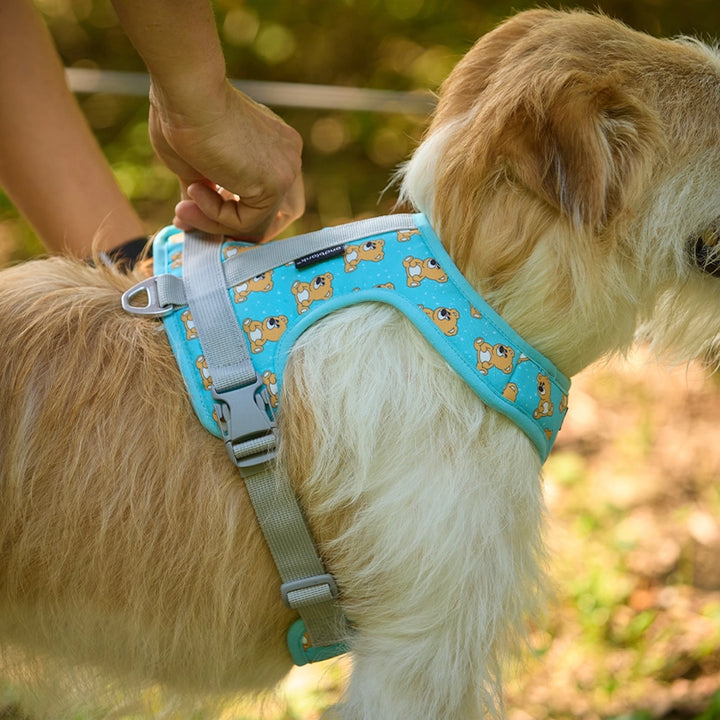 ※予約販売【andblank】ICONIC Joy Bear Harness（Mint）