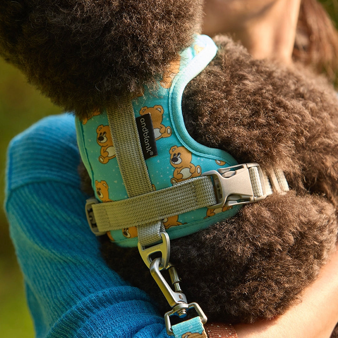 ※予約販売【andblank】ICONIC Joy Bear Harness（Mint）