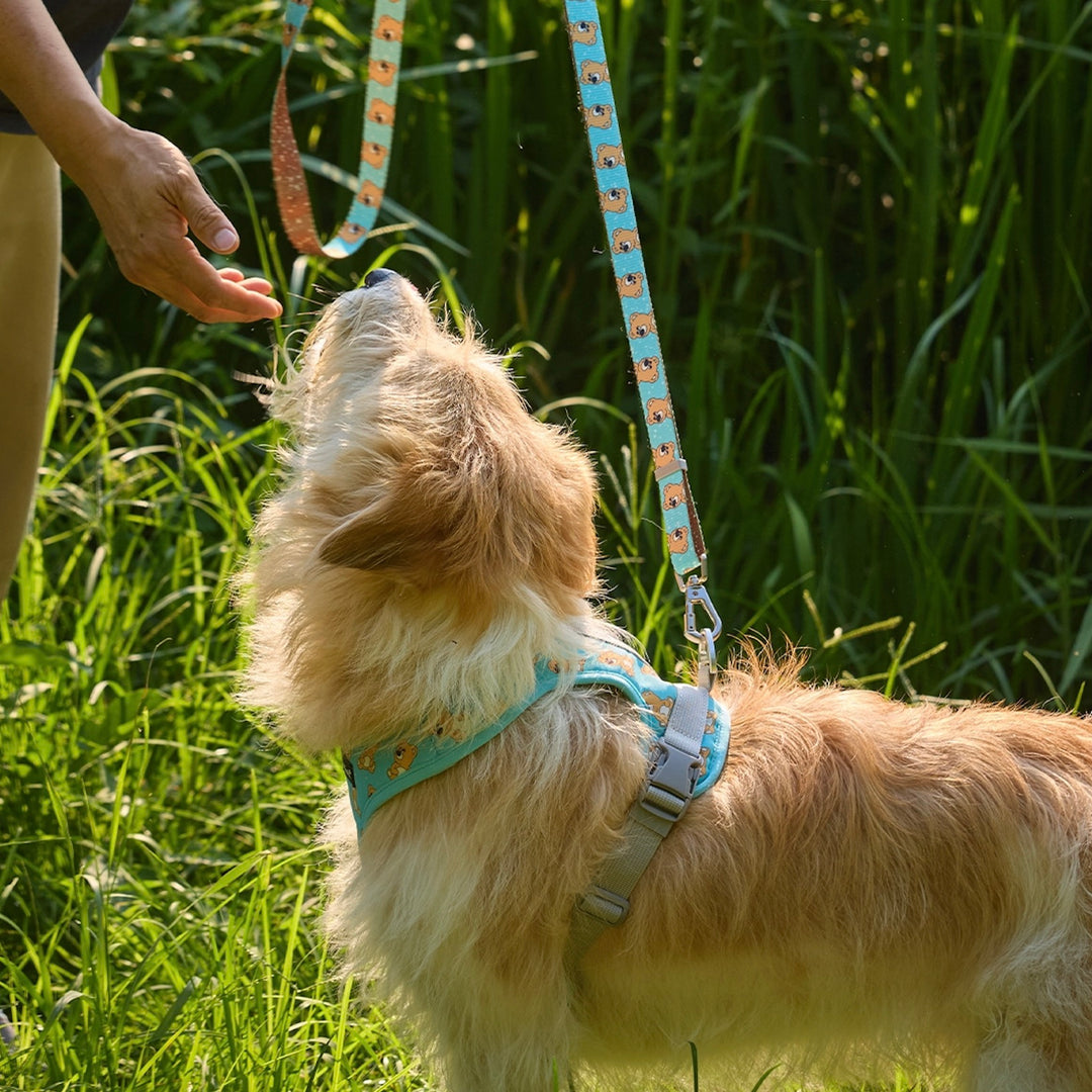 ※予約販売【andblank】ICONIC Joy Bear Harness（Mint）