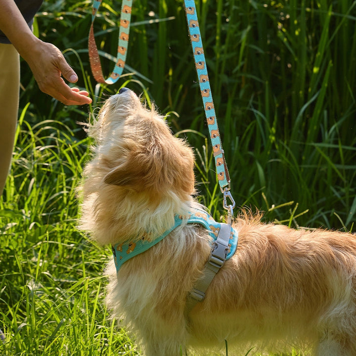※予約販売【andblank】ICONIC Joy Bear Harness（Mint）