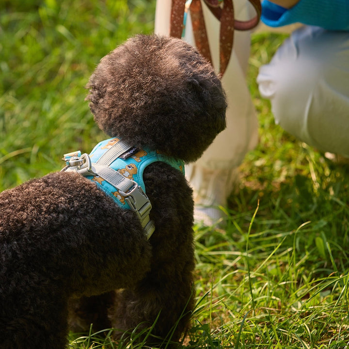 ※予約販売【andblank】ICONIC Joy Bear Harness（Mint）