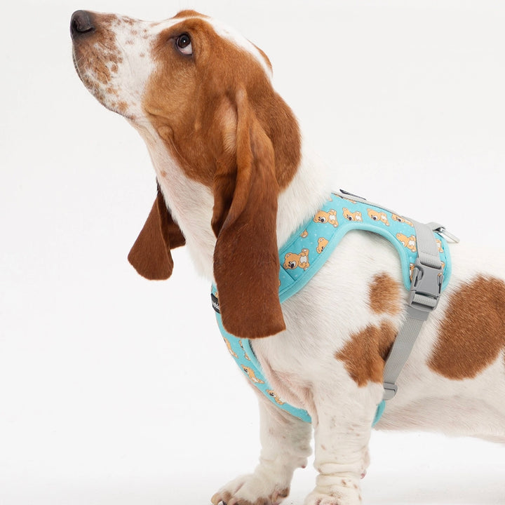 ※予約販売【andblank】ICONIC Joy Bear Harness（Mint）