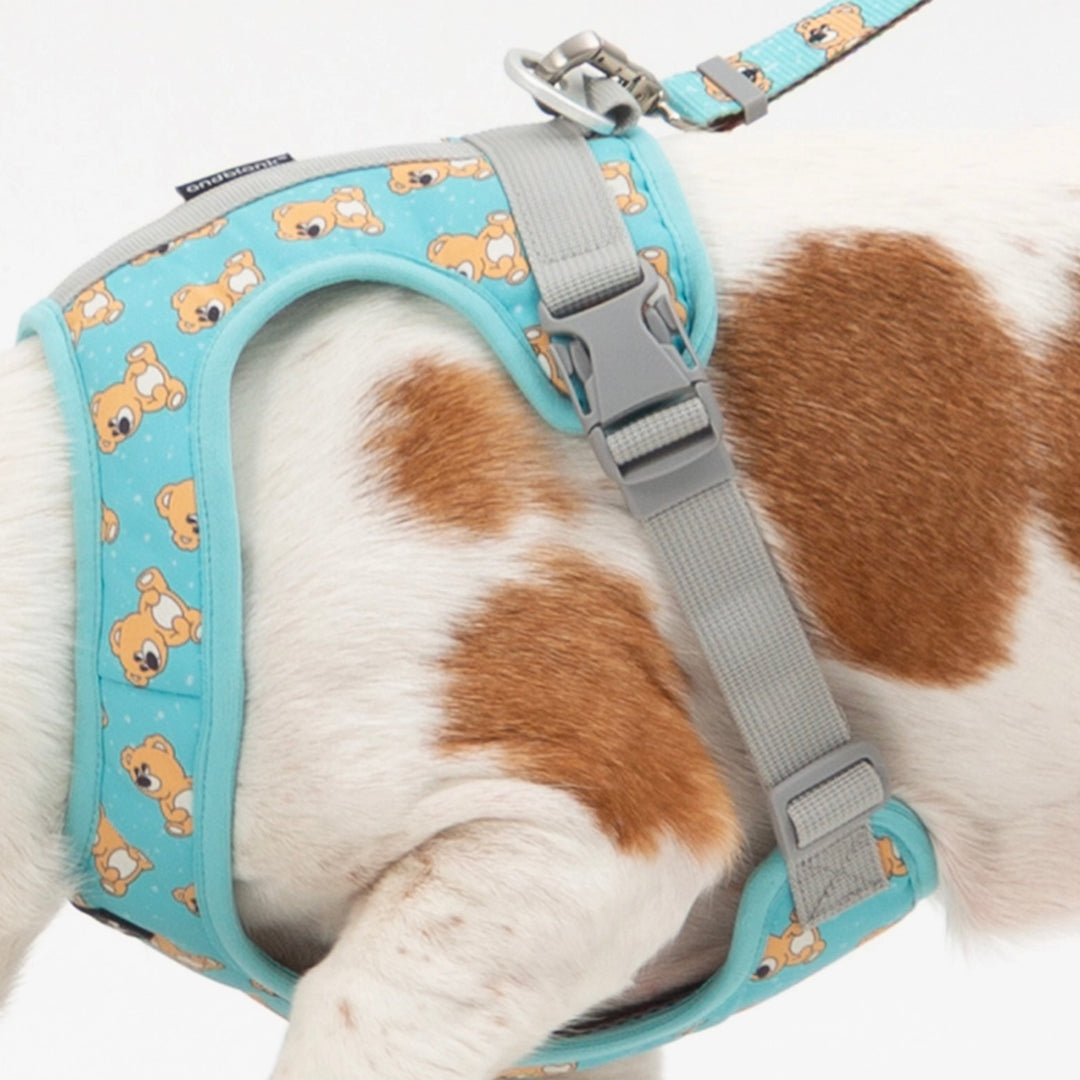 ※予約販売【andblank】ICONIC Joy Bear Harness（Mint）
