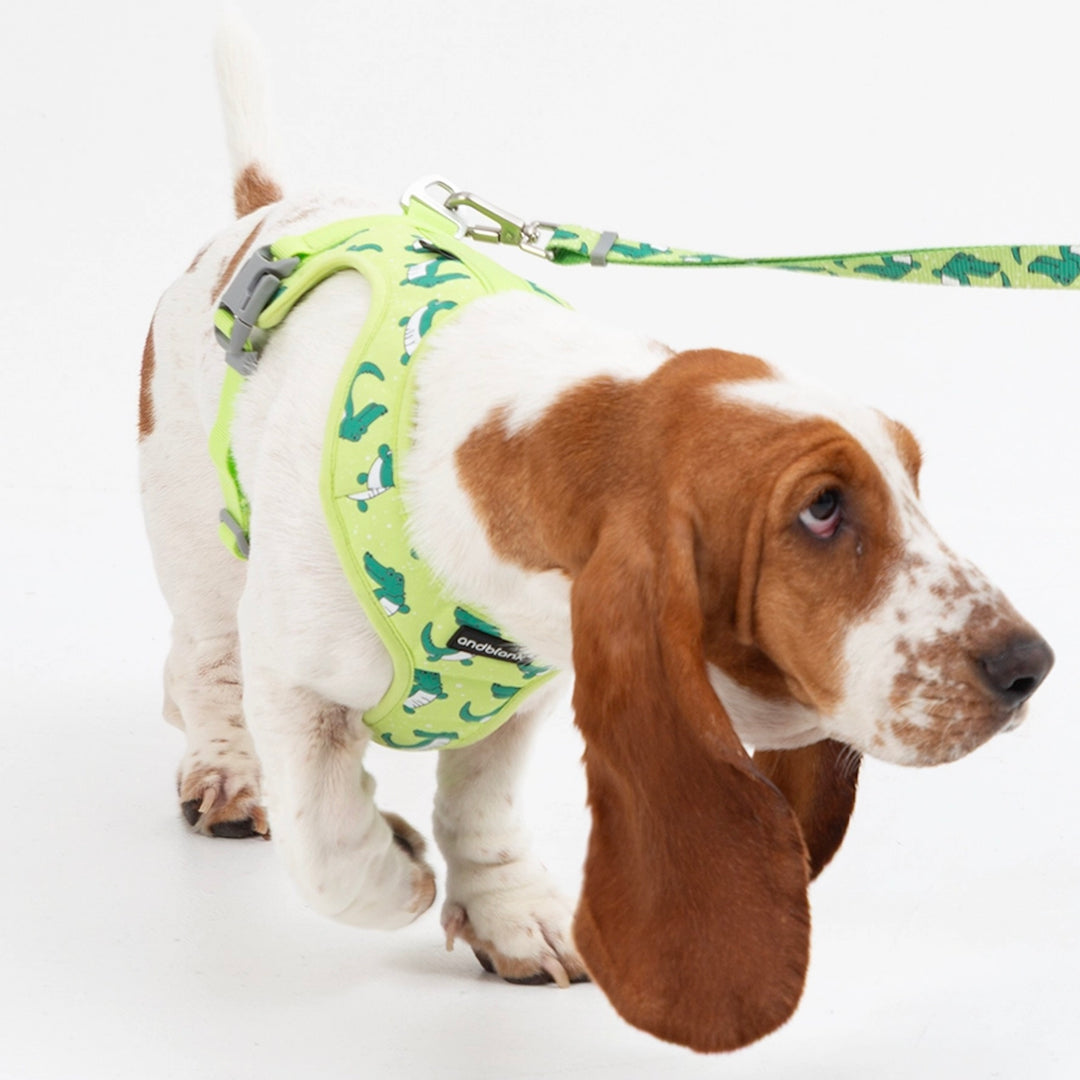 即納【andblank】ICONIC Lazy Crocodile Harness（Green）