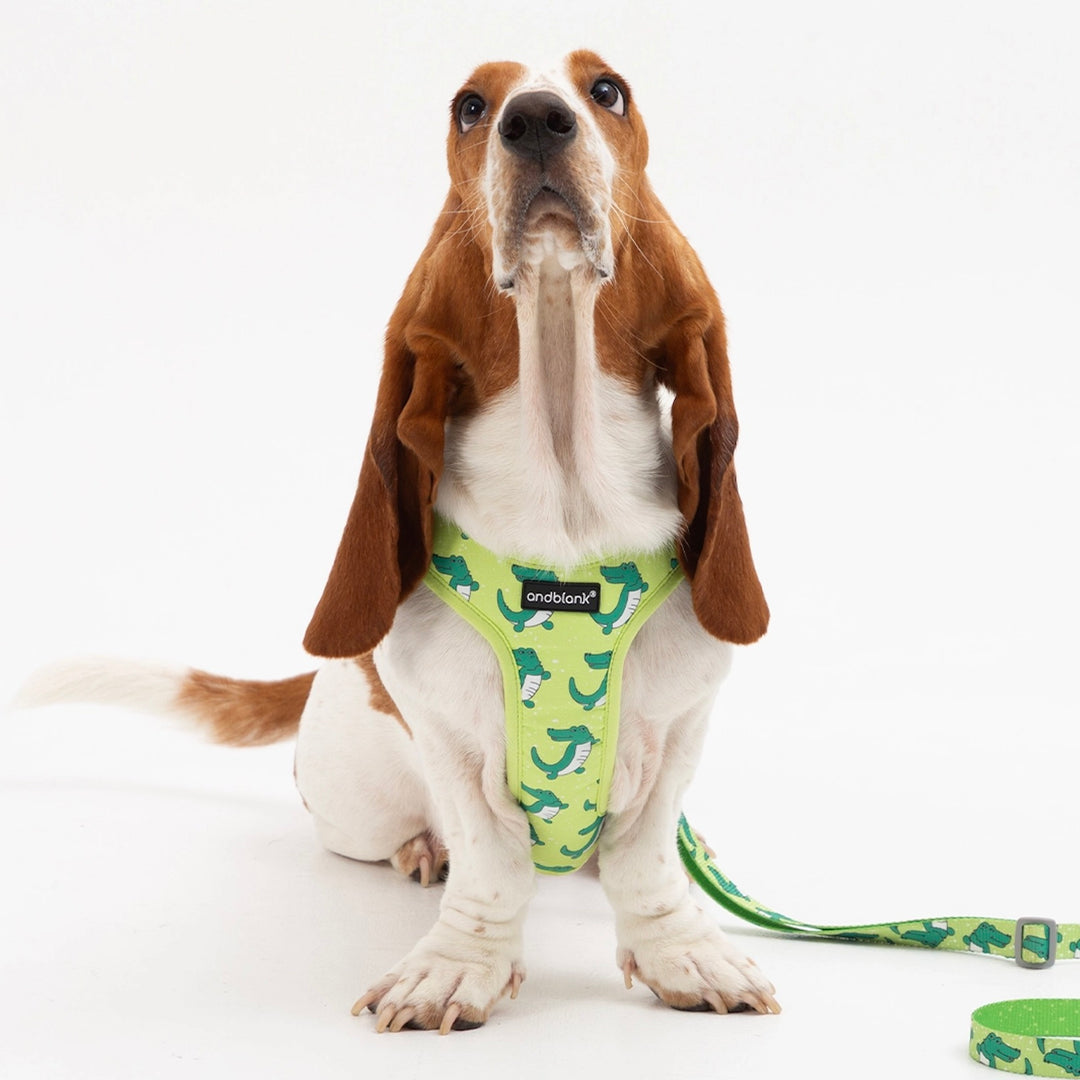 即納【andblank】ICONIC Lazy Crocodile Harness（Green）