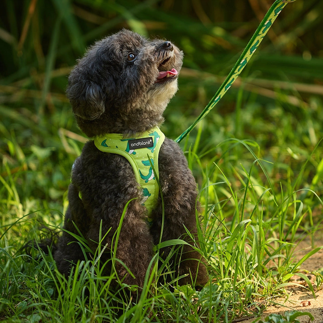即納【andblank】ICONIC Lazy Crocodile Harness（Green）