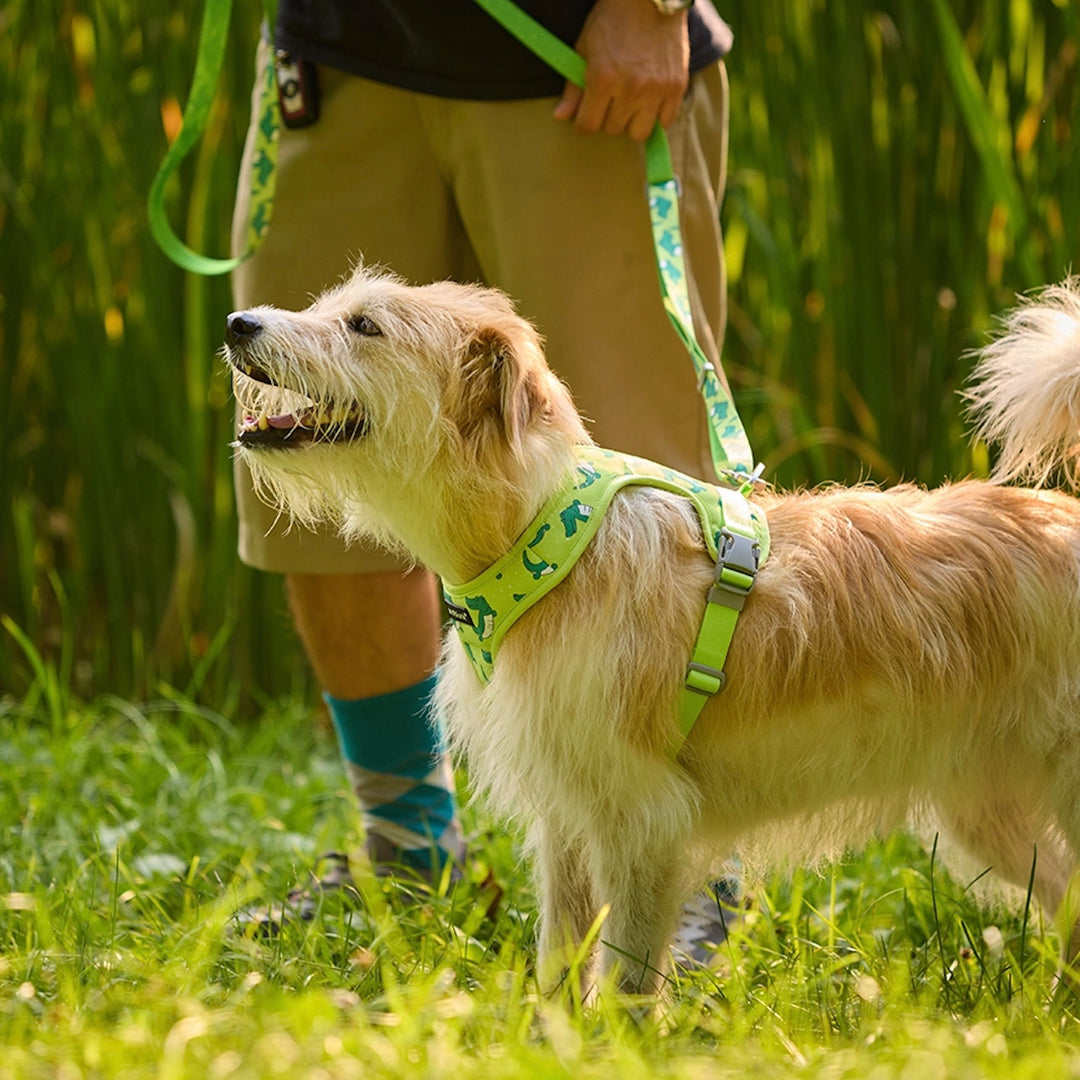 即納【andblank】ICONIC Lazy Crocodile Harness（Green）