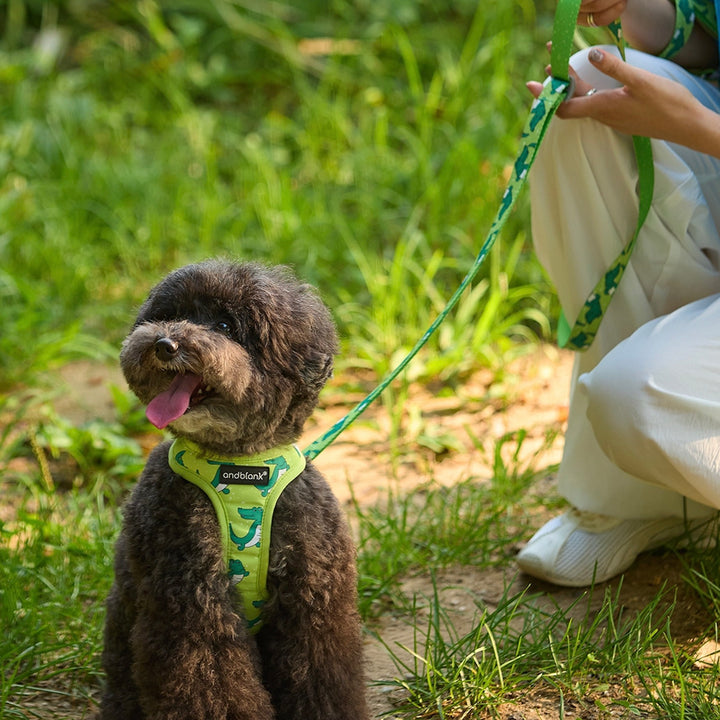 即納【andblank】ICONIC Lazy Crocodile Harness（Green）