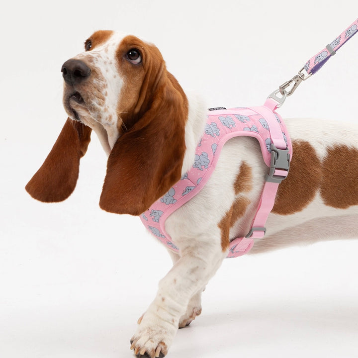 ※予約販売【andblank】ICONIC Jelly Phant Harness（Pink）