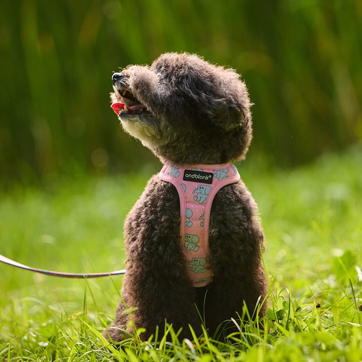 ※予約販売【andblank】ICONIC Jelly Phant Harness（Pink）