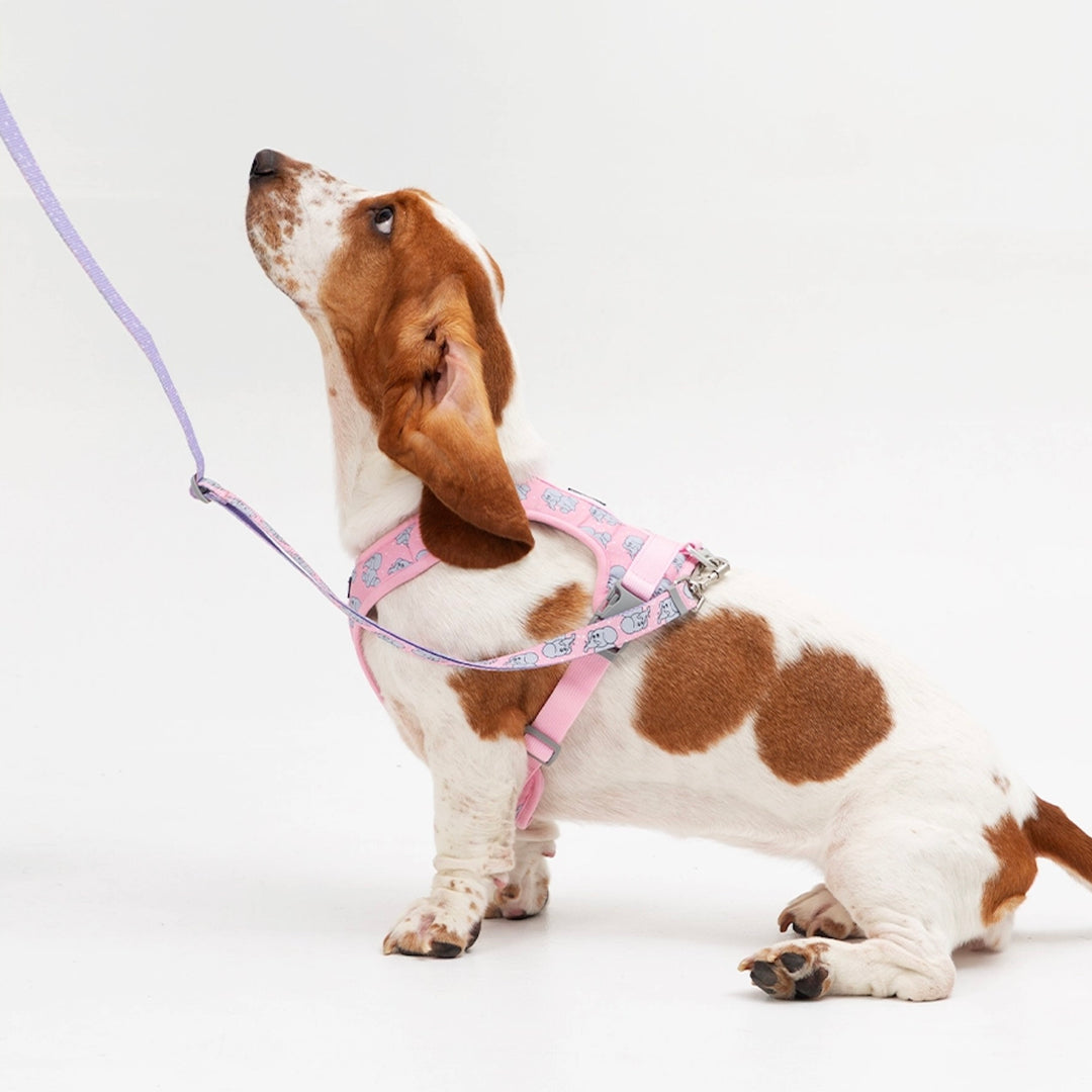 ※予約販売【andblank】ICONIC Jelly Phant Harness（Pink）