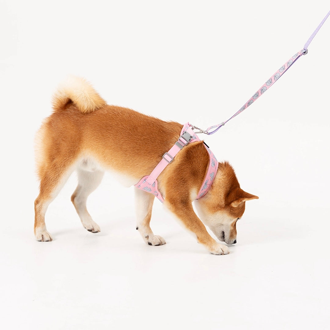 ※予約販売【andblank】ICONIC Jelly Phant Harness（Pink）