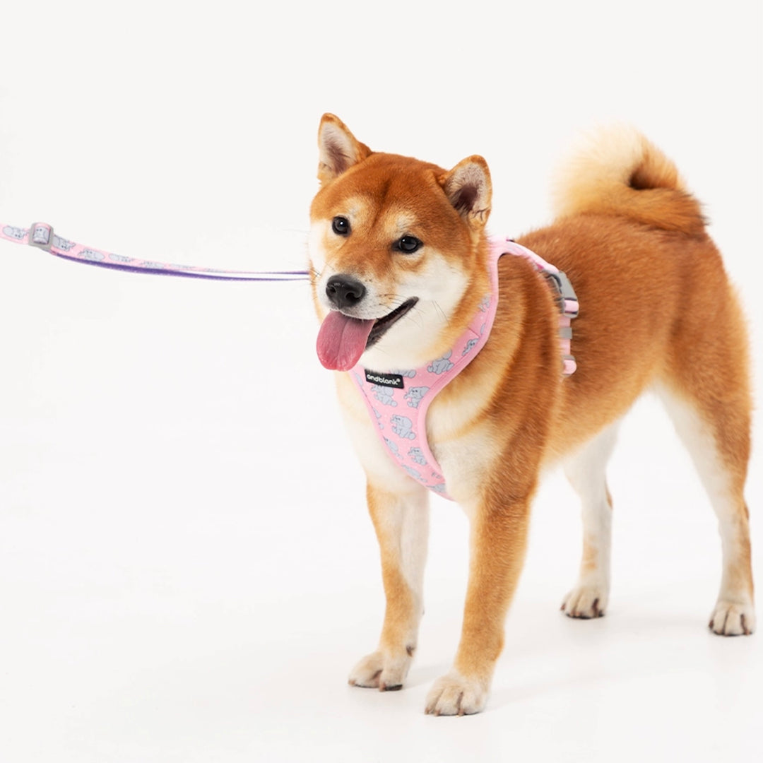 ※予約販売【andblank】ICONIC Jelly Phant Harness（Pink）