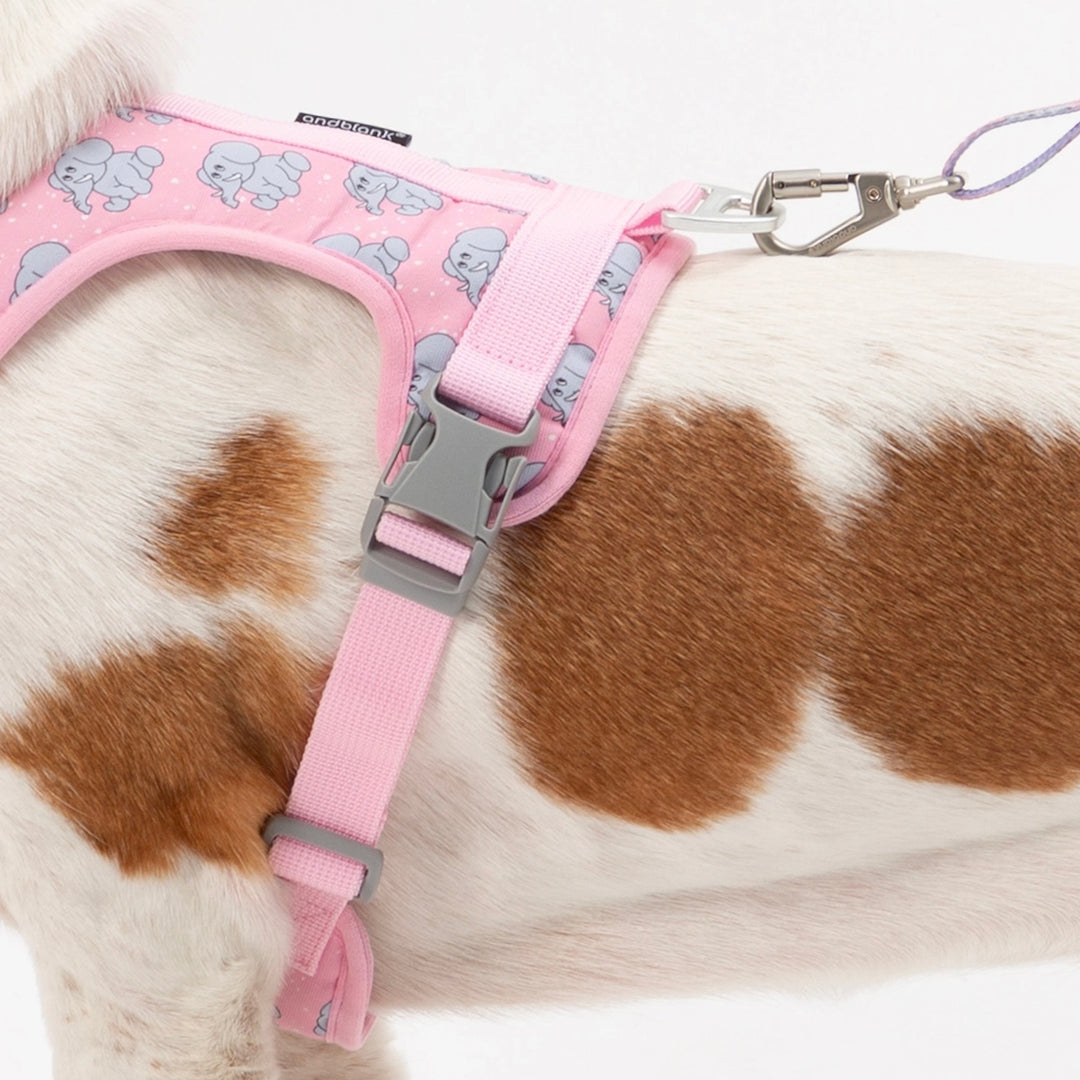 ※予約販売【andblank】ICONIC Jelly Phant Harness（Pink）