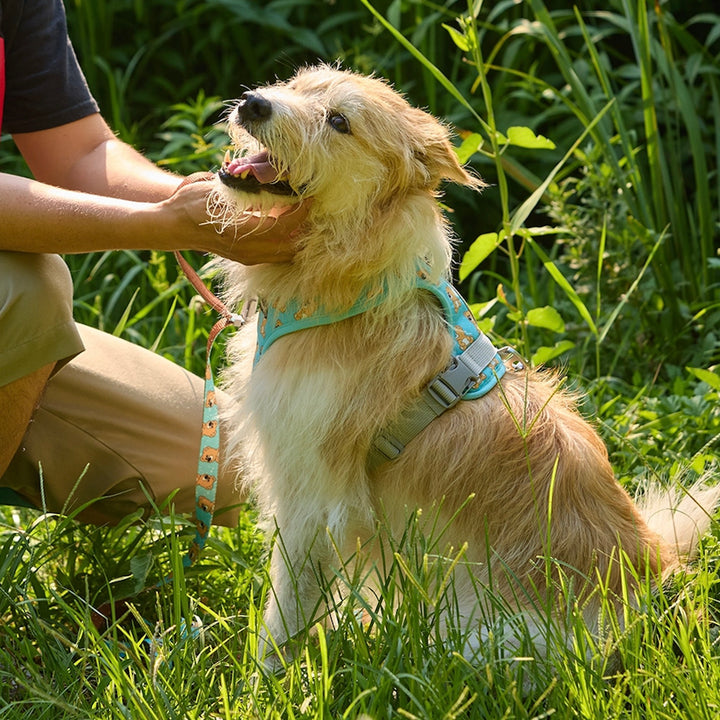 即納【andblank】ICONIC Joy Bear Hands Free Leash（Mint）