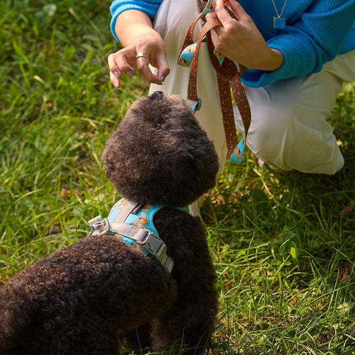 即納【andblank】ICONIC Joy Bear Hands Free Leash（Mint）
