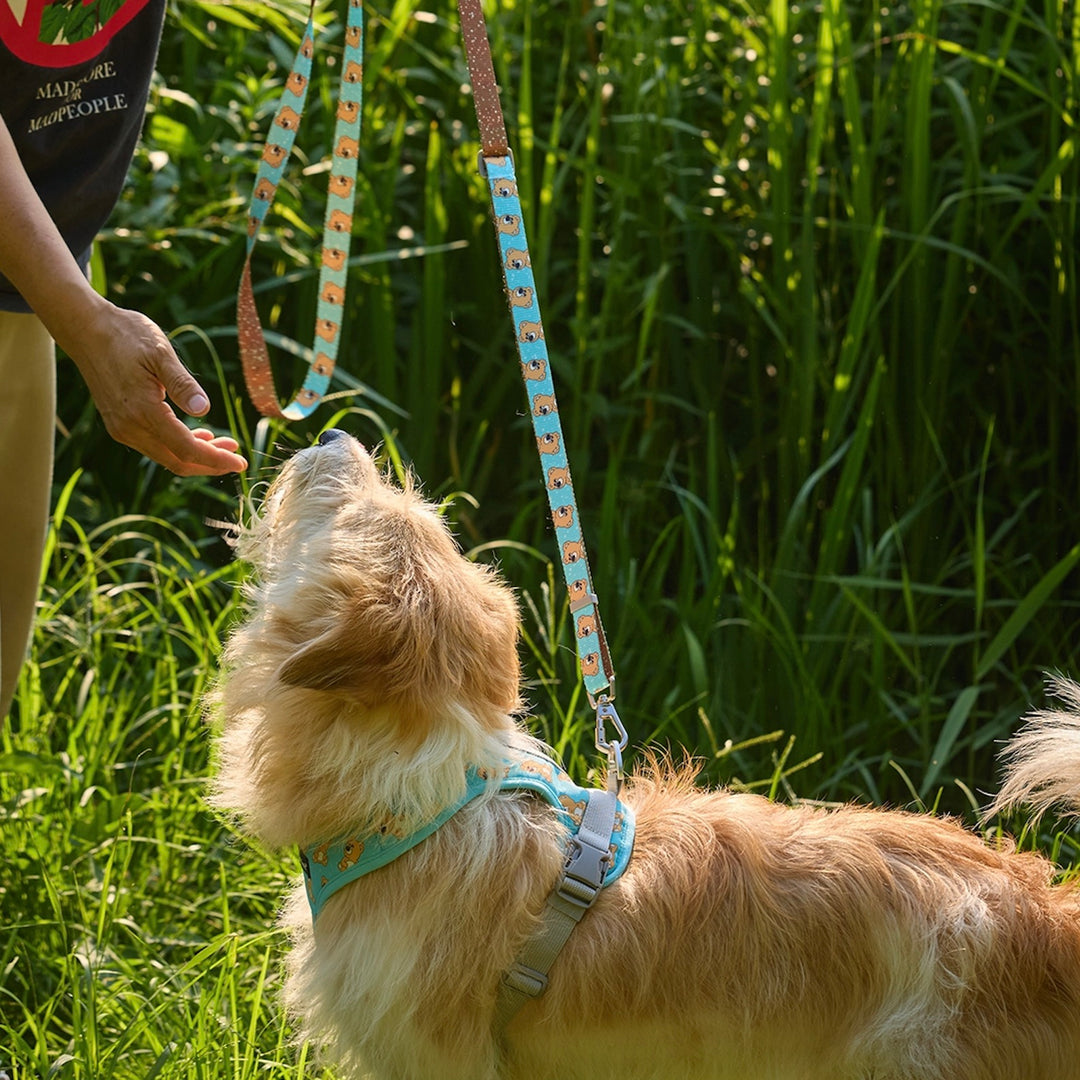 即納【andblank】ICONIC Joy Bear Hands Free Leash（Mint）