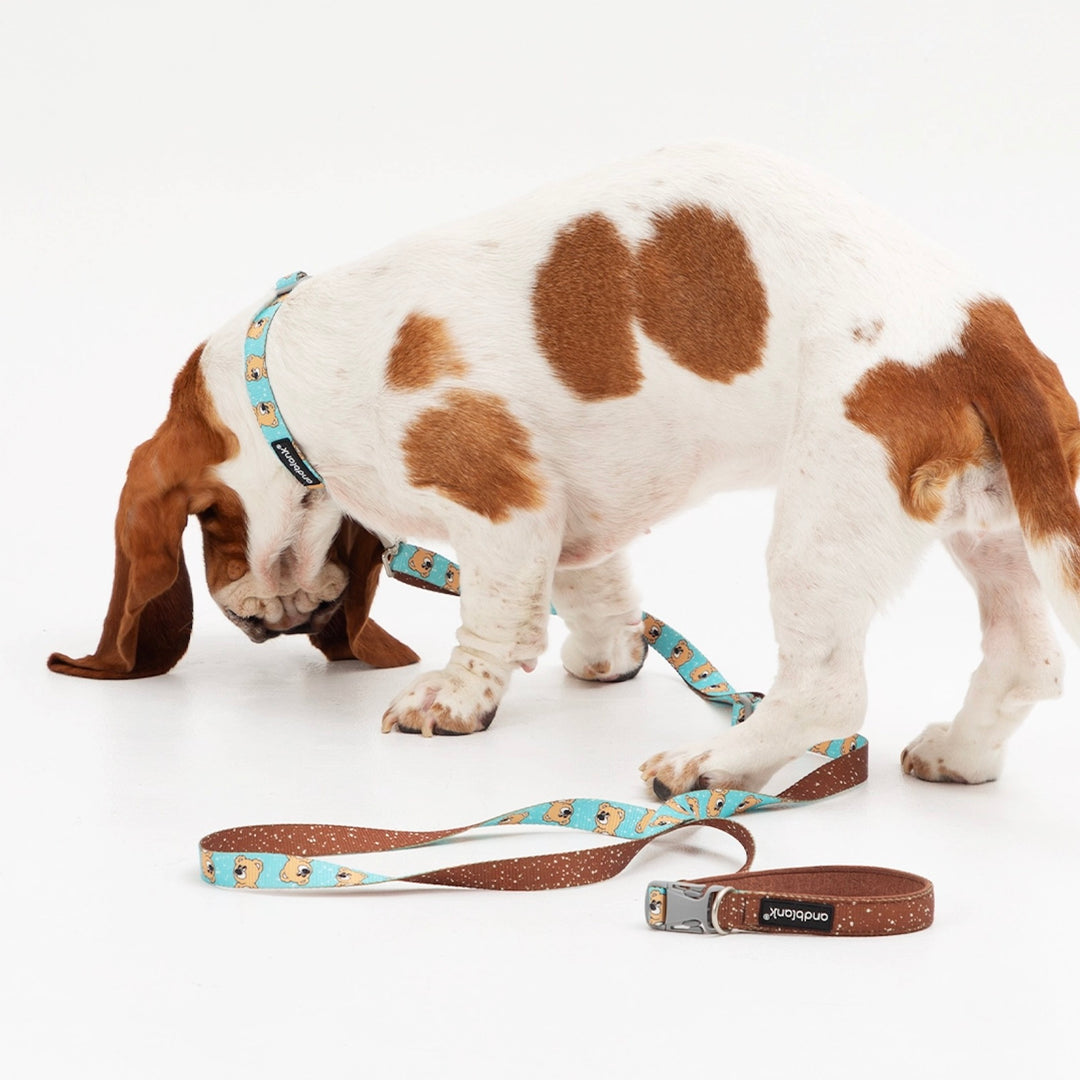 即納【andblank】ICONIC Joy Bear Hands Free Leash（Mint）