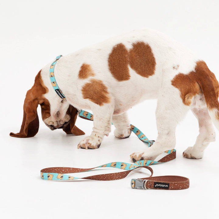 即納【andblank】ICONIC Joy Bear Hands Free Leash（Mint）
