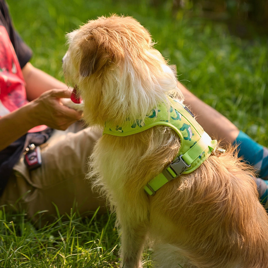 ※予約販売【andblank】ICONIC Lazy Crocodile Hands Free Leash（Green）