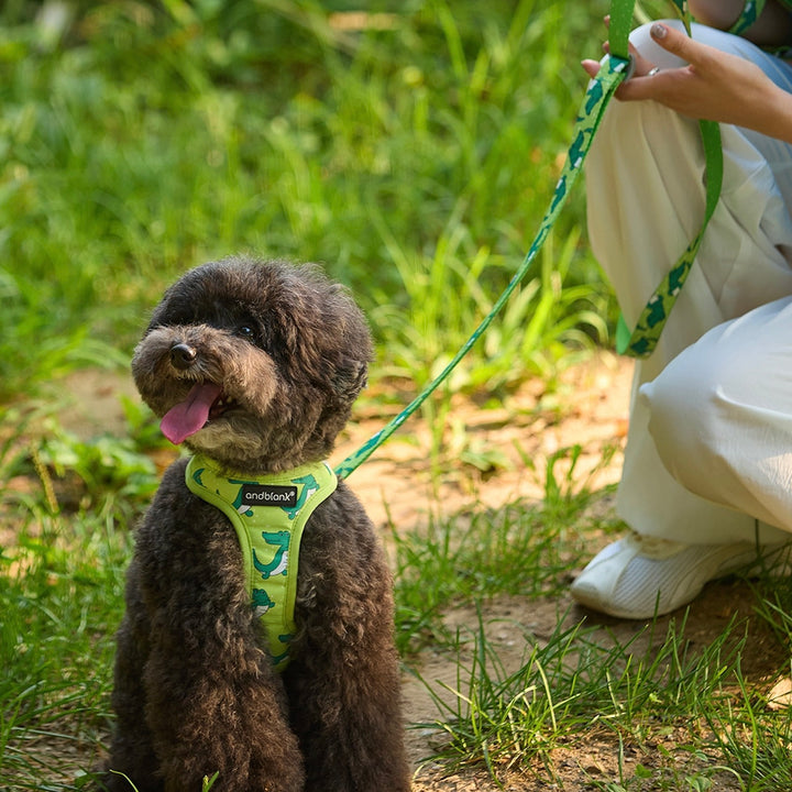 ※予約販売【andblank】ICONIC Lazy Crocodile Hands Free Leash（Green）