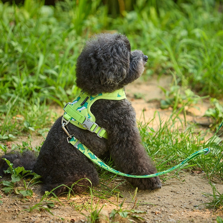 ※予約販売【andblank】ICONIC Lazy Crocodile Hands Free Leash（Green）