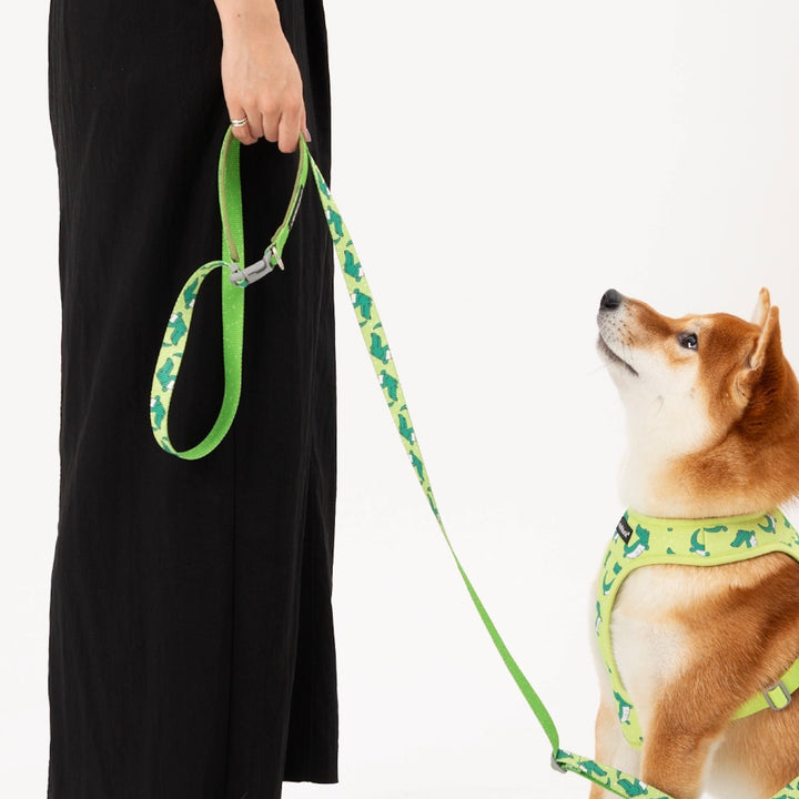 ※予約販売【andblank】ICONIC Lazy Crocodile Hands Free Leash（Green）